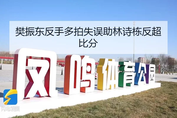 樊振东反手多拍失误助林诗栋反超比分